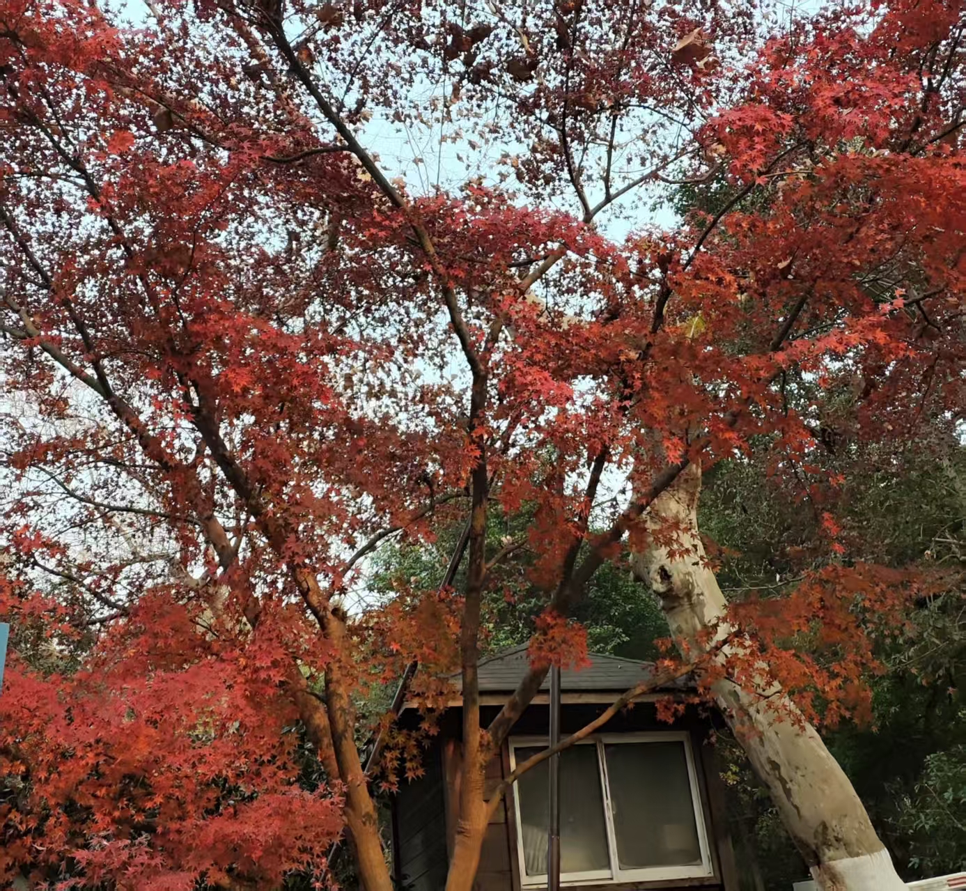 各地密集出台数字化相关政策 赋能产业升级与高质量发展